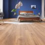 KRONOTEX EXQUISIT PLUS ROBLE PETTERSSON NATURE D4764