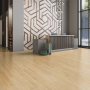 GALAXY LINE SERIE ORION WIDE SILENCE OLD