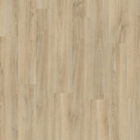 BALTERIO VEYRON ROBLE ADRO VEY40339