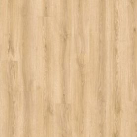 BALTERIO VEYRON ROBLE ERLI VEY40439