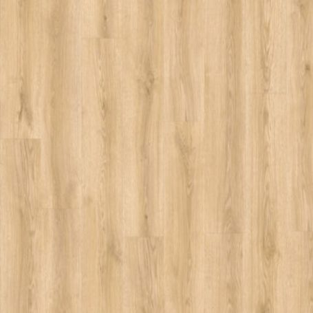 BALTERIO VEYRON ROBLE ERLI VEY40439