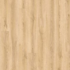 BALTERIO VEYRON ROBLE ERLI VEY40439