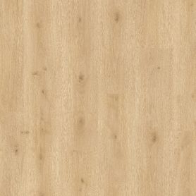 BALTERIO ENTRATA ROBLE TREVISO ENT61143