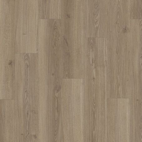 PARADOR BASIC 600 ROBLE STUDIOLINE MACCHIATO 1748186 CON BISEL