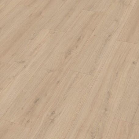 MEISTER LD150 ROBLE ROCA ARENA 7122