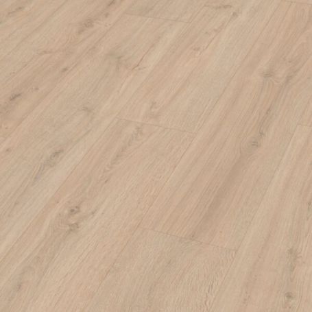 MEISTER LD200 ROBLE ROCA ARENA 7122