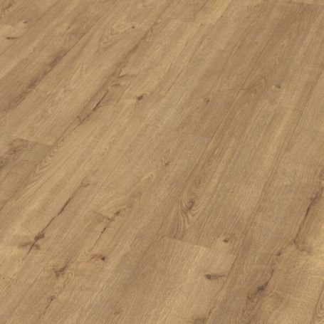 MEISTER LD250 ROBLE CHAMPAN 7001