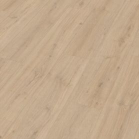 MEISTER LD250 ROBLE ROCA ARENA 7122