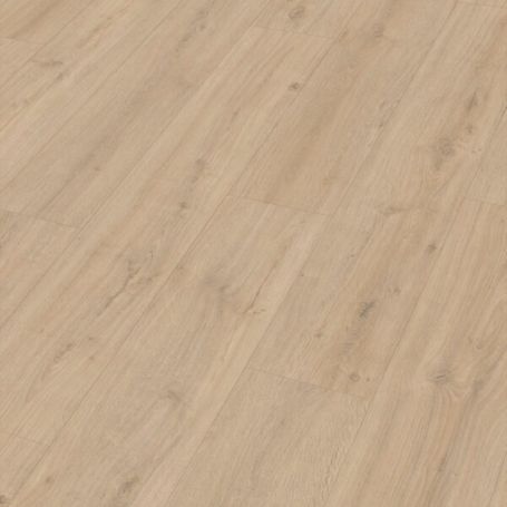 MEISTER LD250 ROBLE ROCA ARENA 7122