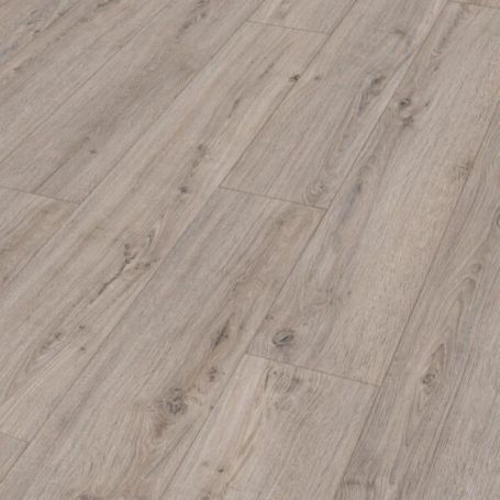 MEISTER DD 500 S ROBLE AVENA 06889