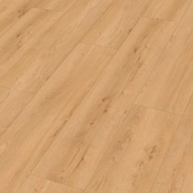 MEISTER DD 700 S EARTH OAK 07450