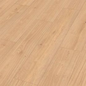 MEISTER DD 700 S LAKEWOOD OAK 07457