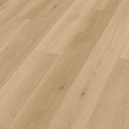 MEISTER RL 600 S CHILL BEATS 20215