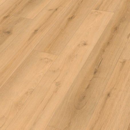 MEISTER RL 600 S FUTURE GARAGE 20218