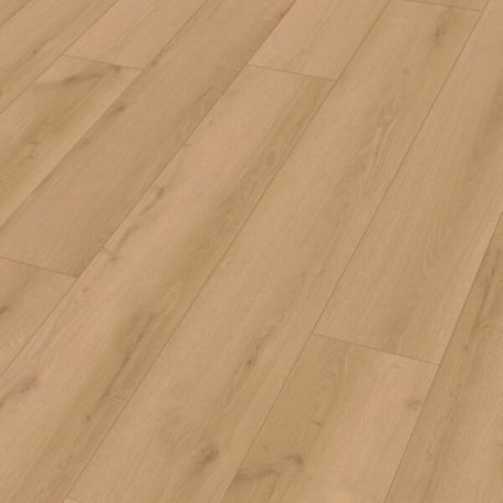 MEISTER RM 500 S TORCH SONG 20202