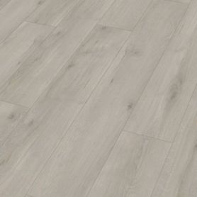 MEISTER RM 500 S BOSSA NOVA 20201