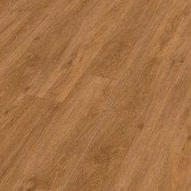 MEISTER RD 200 S QUIET STORM 20080