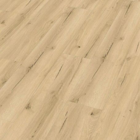 MEISTER RD 200 S GARAGE POP 20191