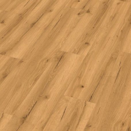 MEISTER RD 200 S GRUNGE POP 20193