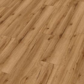 MEISTER DD 155 SUNSET LOUNGE 20081