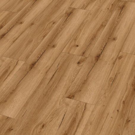 MEISTER DD 155 SUNSET LOUNGE 20081