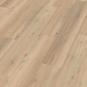 MEISTER DD 155 MINIMAL WAVE 20190