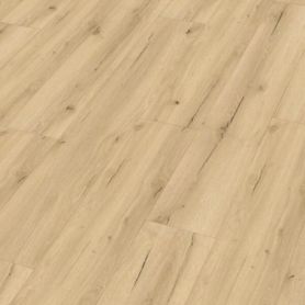 MEISTER DD 155 GARAGE POP 20191