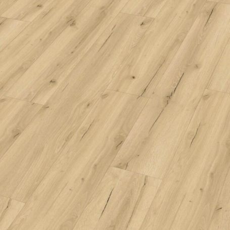 MEISTER DD 155 GARAGE POP 20191