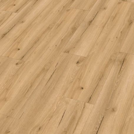 MEISTER DD 155 INDUSTRIAL POP 20192