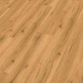 MEISTER DD 155 GRUNGE POP 20193