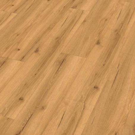 MEISTER DD 155 GRUNGE POP 20193