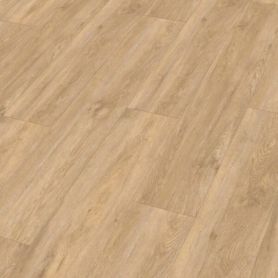 MEISTER DD 155 VOGUE 20195