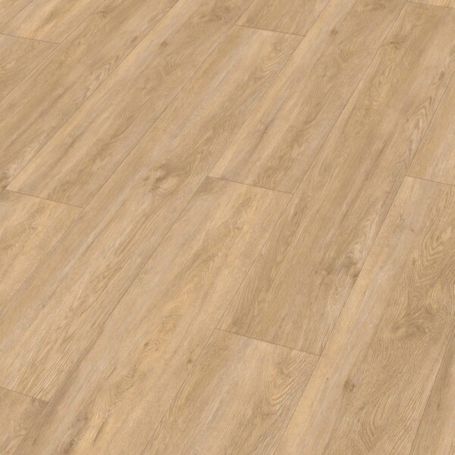 MEISTER DD 155 VOGUE 20195