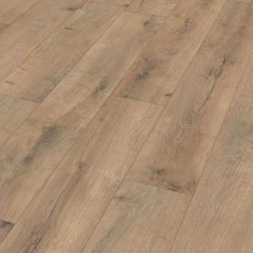 MEISTER DD 500 S ROBLE MARINERO 06439