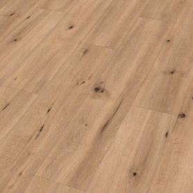 MEISTER DD 500 S ROBLE AMANECER 06843