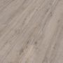 MEISTER DD 500 S ROBLE AVENA 06889