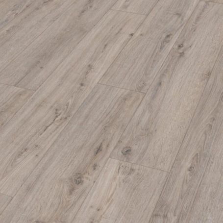 MEISTER DD 500 S ROBLE AVENA 06889