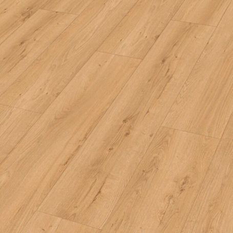 MEISTER DD 700 S EARTH OAK 07450