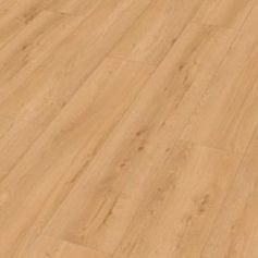 MEISTER DD 700 S EARTH OAK 07450