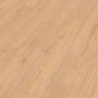 MEISTER DD 700 S LAKEWOOD OAK 07457