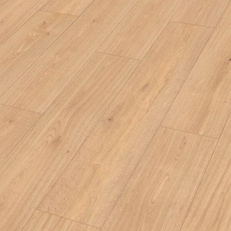 MEISTER DD 700 S LAKEWOOD OAK 07457