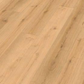 MEISTER RL 600 S FUTURE GARAGE 20218