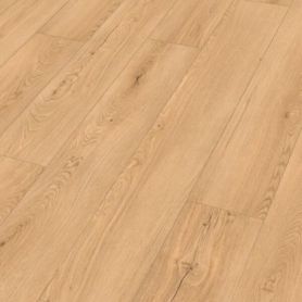 MEISTER RM 500 S VINTAGE HOLLYWOOD 20196