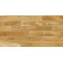 PROJECT CLIC ROBLE PURE MDA14253