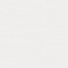 MEISTERPANELS TERTIO DP 200 FRESNO BLANCO ALPINO 00384 [2590x190mm]