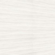 MEISTERPANELS TERTIO DP 200 WHITE WOOD 20106 [1270x190mm]