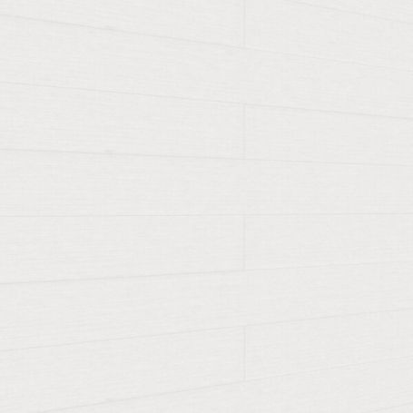 MEISTERPANELS TERTIO DP 200 SILVER LININGS 20127 [1270x190mm]