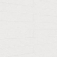 MEISTERPANELS TERTIO DP 200 SILVER LININGS 20127 [2590x190mm]