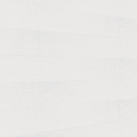 MEISTERPANELS TERRA DP 250 WHITE ASH 20098 [2041x241mm]