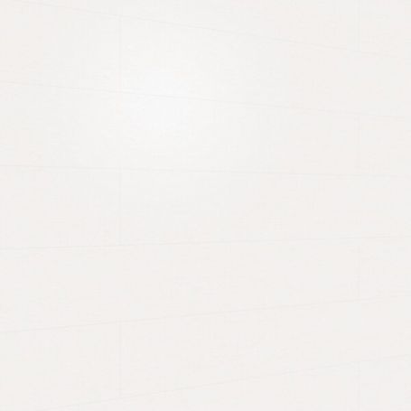 MEISTERPANELS TERRA DP 250 VINTAGE WHITE 20099 [1271x241mm]